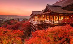 ทัวร์ญี่ปุ่น โอซาก้า นารา เกียวโต ชมใบไม้เปลี่ยนสี วัดคิโยมิสุเดระ ปราสาทโอซาก้า ศาลเจ้าฟูชิมิอินาริ อิสระเต็มวัน