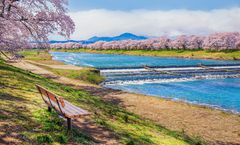 ทัวร์ญี่ปุ่น สงกรานต์ นิกโก้ เซ็นได ฮิโตะเมะเซ็มบงซากุระ กินซังออนเซ็น ฮิตาชิซีไซด์ปาร์ค ราคารวมทุกอย่างแล้ว