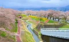 ทัวร์ญี่ปุ่น ฟุคุชิม่า สงกรานต์ ฮิโตะเมะเซ็มบงซากุระ สวนฮานามิยาม่า ปราสาททสึรุกะ สวนดอกไม้อาชิคางะ พักออนเซ็น