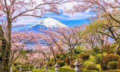 ลด 700บาท/ที่ รูดบัตรไม่ชาร์จ,ผ่อน0% จองภายใน 24พ.ย.- 25ธ.ค. : ทัวร์ญี่ปุ่น โตเกียว ชมซากุระสวนสันติภาพเฮวะ ภูเขาทาคาโอะ ฟาร์มมะคะอิโนะ วัดไทเซคิจิ อิสระเต็มวัน