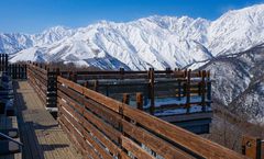 ทัวร์ญี่ปุ่น โอซาก้า โตเกียว จุดชมวิว HAKUBA วัดคิโยมิสึ ลิงแช่ออนเซ็น หมู่บ้านชิราคาวาโกะ วัดอาซากุสะ