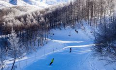 ทัวร์ญี่ปุ่น โตเกียว ฮาคุบะ ภูเขาทาคาโอะ วัดไทเซคิจิ HAKUBA IWATAKE & TSUGAIKE KOGEN SKI งานประดับไฟซากามิโกะ