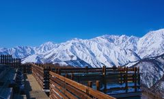 ทัวร์ญี่ปุ่น ไอจิ โตเกียว Hakuba Mountain Harbor หมู่บ้านชิราคาวาโกะ ปราสาทอินุยาม่า ศาลเจ้าเมย์จิ