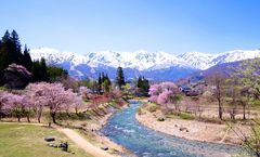 ทัวร์ญี่ปุ่น นาโกย่า โตเกียว ฮาคุบะ สวนสาธารณะโออิเดะ เจแปนแอลป์ ปราสาทอินุยาม่า ราคารวมทุกอย่างแล้ว พักออนเซ็น 4 คืน