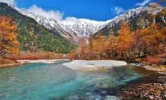 ทัวร์ญี่ปุ่น โตเกียว นากาโน่ ชมใบไม้เปลี่ยนสี คามิโคจิ ทุ่งโคเชียสวนโออิชิปาร์ค เกาะเอโนะชิมะ