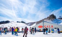 ลด 1,200บาท/ที่, รูดบัตรฟรี, ผ่อน0% จองภายใน 15ม.ค.-23ก.พ.69 : ทัวร์ญี่ปุ่น โตเกียว คาวาโกเอะ วัดโชรินซังดารุมะจิ ลานสกีกาล่า ยูซาว่า สโนว์รีสอร์ท วัดอาซากุสะ คุซัทสึออนเซ็น 