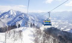 โปร 9.9 ลด 900/ที่ จองภายใน 9-23ก.ย. ทัวร์ญี่ปุ่น ปีใหม่ โตเกียว ลานสกีกาล่ายูซาว่า หมู่บ้านโอชิโนะฮัคไค เทศกาลประดับไฟหมู่บ้านเยอรมัน อิสระเต็มวัน