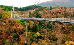 ทัวร์ญี่ปุ่น ซากะ คุมาโมโตะ ชมใบไม้เปลี่ยนสี สะพานแขวนยูเมะโออิตะ หมู่บ้านยูฟุอิน ศาลเจ้ายูโทคุอินาริ พักออนเซ็น