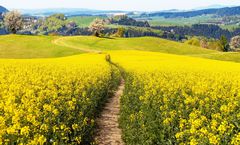 ทัวร์ญี่ปุ่น โอซาก้า วัดคัตสึโอจิ น้ำตกมิโนะ สวนดอกไม้อาวาจิ ฮานะซาจิกิ เก็บสตรอเบอร์รี่ สวนทาคุมิ โนะ ซาโตะ พักออนเซ็น 1 คืน