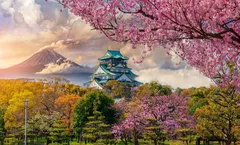 ทัวร์ญี่ปุ่น โอซาก้า เกียวโต ชมซากุระ ปราสาทโอซาก้า วัดคินคะคุจิ สวนนารา ศาลเจ้าเฮอัน หมู่บ้านอเมริกา มูระ