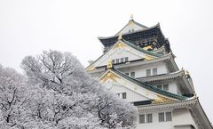 ทัวร์ญี่ปุ่น ปีใหม่ โอซาก้า โตเกียว ฮาโกเน่ FUJIYAMA TOWER ปราสาทโอซาก้า ถ่ายรูปกับป้ายไฟกูลิโกะ อิสระเต็มวัน