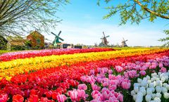 ทัวร์ญี่ปุ่น สงกรานต์ ฟุกุโอกะ โอซาก้า หุบเขาทาคาจิโฮ หมู่บ้านเฮ้าส์เทนบอช ล่องเรือเฟอร์รี่ซันฟลาวเวอร์ อิสระเต็มวัน