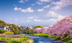 ทัวร์ญี่ปุ่น โตเกียว ชมซากุระริมแม่น้ำอุรุอิ แม่น้ำเมกุโระ สวนอูเอโนะ สวนจิโดริงะฟูจิ แม่น้ำชินนาโช พักออนเซ็น 1 คืน