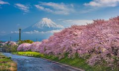 โปรชนบูธ ลด 1,500 บาท/ที่, รูดบัตรฟรี, จองภายใน 22-25 ม.ค.69 : ทัวร์ญี่ปุ่น สงกรานต์ โตเกียว ชมซากุระริมแม่น้ำอุรุอิ หุบเขาโอวาคุดานิ วัดอาซากุสะ หมู่บ้านน้ำใสโอชิโนะฮัคไค อิสระเต็มวัน