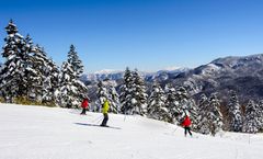 ทัวร์ญี่ปุ่น โทยามะ โอซาก้า ลานสกี IOX AROSA แหลมโทจินโบ หมู่บ้านชุงะนุมะกัสโชสึคุริ อิสระเต็มวัน