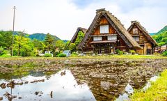 ทัวร์ญี่ปุ่น โอซาก้า เกียวโต คามิโคจิ หมู่บ้านชิราคาวาโกะ ศาลเจ้าฟูชิมิอินาริ ปราสาทโอซาก้า เทศกาล Nabana no Sato