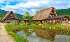 ทัวร์ญี่ปุ่น นาโกย่า เกียวโต หมู่บ้านชิราคาวาโกะ งานประดับไฟนาบานะโนะซาโตะ วัดคินคะคุจิ ย่านซากาเอะ