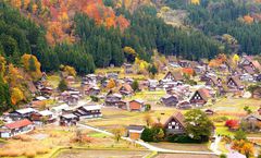ทัวร์ญี่ปุ่น โอซาก้า เกียวโต ชมใบไม้เปลี่ยนสี วัดคิโยมิสุเดระ หมู่บ้านชิราคาวาโกะ เทศกาลประดับไฟ Nabana No Sato อิสระเต็มวัน