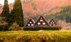 ทัวร์ญี่ปุ่น โอซาก้า ทาคายาม่า ชมใบไม้เปลี่ยนสี หมู่บ้านชิราคาวาโกะ ปราสาทโอซาก้า สะพานโทเง็ตสึเคียว หุบเขาโครังเค
