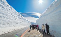 ทัวร์ญี่ปุ่น สงกรานต์ นาโกย่า โตเกียว กำแพงหิมะเจแปนแอลป์ สวนฮิสึจิยามะ TEAMLAB PLANETS วัดชิโอะฟุเนะคันนงจิ