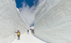ทัวร์ญี่ปุ่น โอซาก้า เกียวโต กำแพงหิมะสูงชัน เจแปนแอลป์ คามิโคจิ สะพานกัปปะบะชิ สักการะศาลเจ้าเฮอัน 
