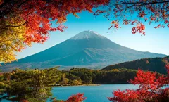 ทัวร์ญี่ปุ่น ฟูจิซังมาราธอน โตเกียว ฮาเนดะ ภูเขาทาคาโอะ ทะเลสาบโมโตสุ ชมใบไม้เปลี่ยนสีสวนชินจูกุเกียวเอ็น