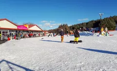 ทัวร์ญี่ปุ่น โตเกียว คาวาโกเอะ วัดอาซากุสะ ลานหิมะ Sagamiko Snow Paradise ลานสกี Fujiten งานประดับไฟ Sagamiko Illumillion