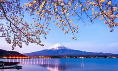 ทัวร์ญี่ปุ่น สงกรานต์ โตเกียว อุทยานแห่งชาติฮาโกเน่ หุบเขาโอวาคุดานิ โอชิโนะฮักไก ชมซากุระริมทะเลสาบคาวากุจิโกะ