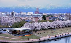 ทัวร์ญี่ปุ่น โอซาก้า โทยามะ ชมดอกซากุระสวนสาธารณะคันซุย แม่น้ำมัตสึคาว่า Asahi Funakawa Spring Quartet