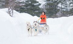 ทัวร์ญี่ปุ่น ฮอกไกโด Tomamu Ice Village นั่งสุนัขลากเลื่อน ศาลเข้าโอบิฮิโระ พัก Club Med Tomamu Hotel 2 คืน