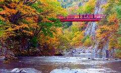 ทัวร์ญี่ปุ่น ฮอกไกโด โจซังเค ชมใบไม้เปลี่ยนสีสะพานแขวนฟูตามิ มหาวิทยาลัยฮอกไกโด คลองโอตารุ ล่องเรือชมทะเลสาบโทยะ อิสระเต็มวัน