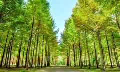 โปรชนบูธ ลด 1,400/ที่ ,รูดบัตรฟรี, ผ่อน0% จองภายใน 22-25 ม.ค.69 : ทัวร์เกาหลี โซล เกาะนามิ ป้อมฮวาซอง คลองชองเกชอน สะพานโซยางกัง ถนนสายศิลปะคาเฟ่โกบงซาน ถนนฮงแด