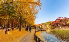 ทัวร์เกาหลี โซล ใบไม้เปลี่ยนสี เกาะนามิ นั่งกระเช้าขึ้น อุทยานแห่งชาติซอรัคซาน สวนสนุกเอเวอร์แลนด์ หอคอยกรุงโซล 