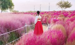 ทัวร์เกาหลี โซล เกาะนามิ สวนดอกไม้ Garden of Morning Calm สวนฮานึลปาร์ค วัดพงอึนซา Starfield Library 