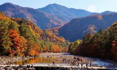 ทัวร์เกาหลี โซล ใบไม้เปลี่ยนสี สวนสนุกเอเวอร์แลนด์ อุทยานแห่งชาติซอรัคซาน หมู่บ้านอาไบ ชองวาแด 