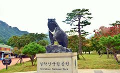 ทัวร์เกาหลี อินชอน อุทยานแห่งชาติโซรัคซาน ฟาร์มแกะซัมยาง กิจกรรมลานสกี อัพไซด์ดาวน์เฮาส์ ช้อปปิ้งเมียงดง