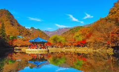 ทัวร์เกาหลี โซล เกาะนามิ อุทยานซอรัคซาน สวนสนุกเอเวอร์แลนด์ ไร่แอปเปิ้ล ใส่ชุดฮันบก พระราชวังเคียงบกกุง