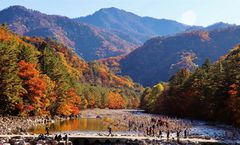 ทัวร์เกาหลี โซรัคซาน วัดชินฮึงซา อุทยานแห่งชาติซอรัคซาน พระราชวังชางด๊อกกุง คลองชองเกชอน เอเวอร์แลนด์