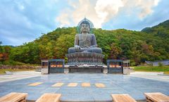 ทัวร์เกาหลี เกาะนามิ อุทยานแห่งชาติซอรัคซาน วัดชินฮึงซา สวนสนุกลอตเต้เวิล์ด สวนป่ากรุงโซล ซากุระถนนยออีโด