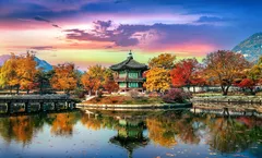 ทัวร์เกาหลี โซล ใบไม้เปลี่ยนสี หุบเขาศิลปะเมืองโพชอน สะพานแขวนรูปตัว Y สวนสาธารณะฮานึล พระราชวังเคียงบก 