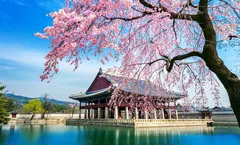 ทัวร์เกาหลี โซล เกาะนามิ สวนสาธารณะยออีโด หมู่บ้านโบราณอึนพยอง สวนสนุกล็อตเต้เวิลด์ ใส่ชุดฮันบกเดินพระราชวังเคียงบกกุง