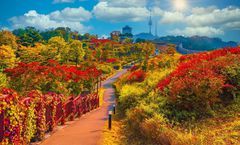 ทัวร์เกาหลี โซล ใบไม้เปลี่ยนสี เกาะนามิ สวนสนุกเอเวอร์แลนด์ อุทยานแห่งชาติซอรัคซาน สวนสาธารณะนัมซาน 