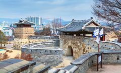 ทัวร์เกาหลี โซล ชมซากุระ สวนสาธารณะยออีโด วัดพงอึนซา ป้อมฮวาซอง เอเวอร์แลนด์ พระราชวังเคียงบ๊อค 