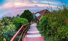 ทัวร์มาเลเซีย ปีนังฮิลล์ วัดเก็กลกซี สตรีทอาร์ต คฤหาสน์ตระกูลคู วัดเจ้าแม่กวนอิม อิสระเต็มวัน