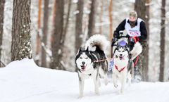 ทัวร์มองโกเลีย อูลานบาตอร์ Sky Ski Resort วัดกานดาน อนุสาวรีย์เจงกีสข่าน สุนัขฮัสกี้ลากเลื่อน