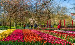 ทัวร์เนเธอร์แลนด์ เบลเยี่ยม ฝรั่งเศส เทศกาลดอกทิวลิปสวนเคอเคนฮอฟ เข้าชมพระราชวังแวร์ซายส์ อะโตเมียม