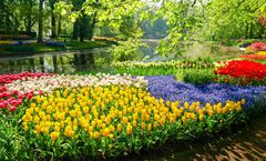 ทัวร์เนเธอร์แลนด์ เบลเยียม ลักแซมเบิร์ก เทศกาลทิวลิป สวนเคอเคนฮอฟ หมู่บ้านกีธูรน์ จัตุรัสกรองด์ปลาซ รวมค่าทิป