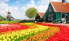 ทัวร์ยุโรป 5 ประเทศ อัมสเตอร์ดัม สตราสบูร์ก โคโลญ ลูเซิร์น แฟรงค์เฟิร์ต ประตูชัย หอไอเฟล สวนดอกไม้เคอเคนฮอฟ