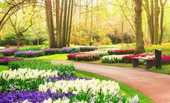 ทัวร์ยุโรป 5 ประเทศ อัมสเตอร์ดัม ลูเซิร์น กอลมาร์ ยอดเขาทิตลิส หอไอเฟล ล่องเรือแม่น้ำแซน เทศกาลดอกไม้สวนเคอเคนฮอฟ