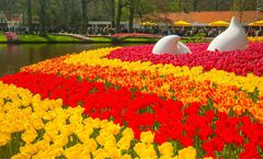 ทัวร์ยุโรป 4 ประเทศ ลิเซ่ อัมสเตอร์ดัม เทศกาลดอกทิวลิปKeukenhof 2024 หมู่บ้านกีย์ธูร์น ล่องเรือบาโตมุช Zaanse Schans 